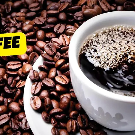 Main Street Lounge - Terrace, Free P, Self Check-in Appartement